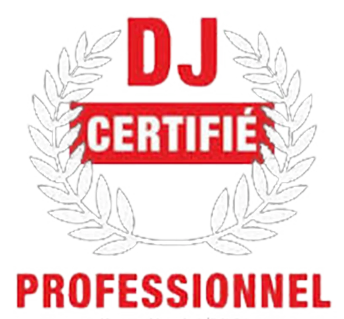 DJ certifié professionnel DJ certifié professionnel